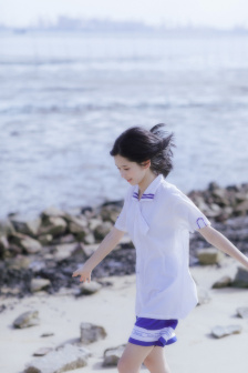 夏日大作战国语